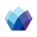 Solomon Partners logo